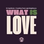 cover: Luigi Neighbours|Dj Apollonia - What Is Love