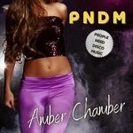 cover: People Need Disco Music - Amber Chamber