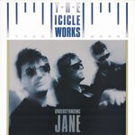 cover: The Icicle Works - Understanding Jane