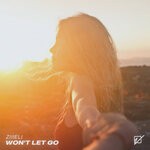 cover: Ziiieli - Won't Let Go