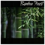 cover: Bamboo Forest - Bamboo Forest