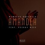 cover: Peekay Mzee - Amandla