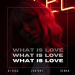 cover: REMAN|DJ DIAC|Zentone - What Is Love