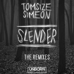 cover: Simeon|Tomsize - Slender (The Remixes)