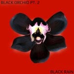 cover: Black Rain - Black Orchid Pt. 2