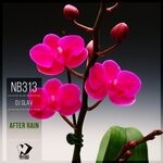 cover: Dj Slav - After Rain