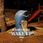 cover: Radio Slave - Wake Up