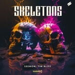 cover: Tim Bliss|Seemon - Skeletons