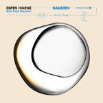 cover: Faye Houston - Bakeren