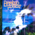 cover: Bamboo Forest - Random Future