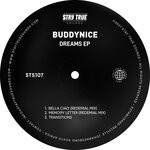 cover: Buddynice - Dream