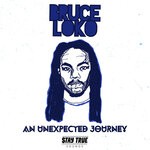 cover: Bruce Loko - An Unexpected Journey