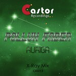 cover: Pollux & Faber - Auriga