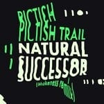 cover: Pictish Trail - Natural Successor