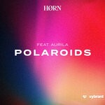 cover: Aurila|Horn - Polaroids