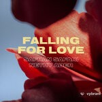 cover: Nethy Aber|Safran Safari - Falling For Love