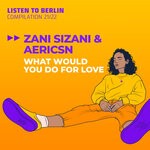 cover: Aericsn|Zani Sizani - What Would You Do For Love