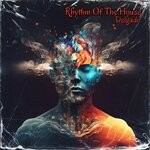 cover: Delgado - Rhythm Of The House