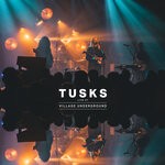 cover: Tusks - Avalanche