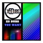 cover: X5 Dubs - You Want