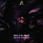 cover: Eurl Pa$o|Ru1 - Never Give Up