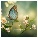 cover: Passenger 10 - Feel This Way