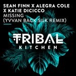 cover: Alegra Cole|Katie Dicicco|Sean Finn - Missing (Yvvan Back Silk Remix)