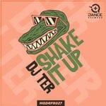 cover: DJ Ter - Shake It Up