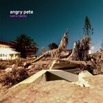 cover: Angry Pete - Lost In Reality