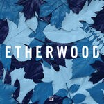 cover: Etherwood - Blue Leaves