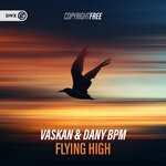 cover: Dany Bpm|Vaskan - Flying High