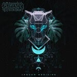 cover: Mystic Grizzly - Jaguar Medicine