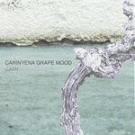 cover: Luken - Carinyena Grape Mood