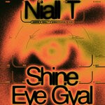 cover: Niall T - Shine Eye Gyal