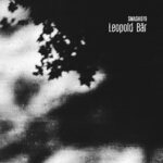 cover: Leopold Bar - Flow