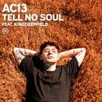 cover: Ac13 - Tell No Soul