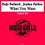 cover: Duke Dulwich|Joshua Pathon - What You Want