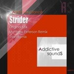 cover: Addictive Glance - Strider