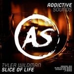 cover: Tyler Wildman - Slice Of Life