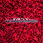 cover: Baris Turna - Gangsta's Paradise