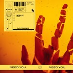 cover: Dj Frisbee - Need You