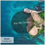 cover: Basani - Forest (Original Mix)