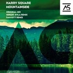 cover: Harry Square - Mountainside