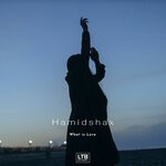 cover: Hamidshax - What Is Love