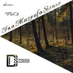 cover: Various - In A Maze Of A Sense Vol 2