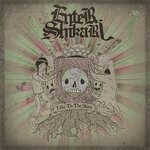 cover: Enter Shikari - Take To The Skies