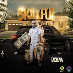 cover: Takeova - Skillful