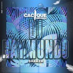 cover: Dj Raymundo - Shaker