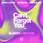 cover: James Blunt|Ofenbach|James Carter - Can't Forget You (Slowed & Reverb)