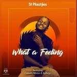 cover: Katlego|Nbass|St Plaatjies Feat Osborn - What A Feeling